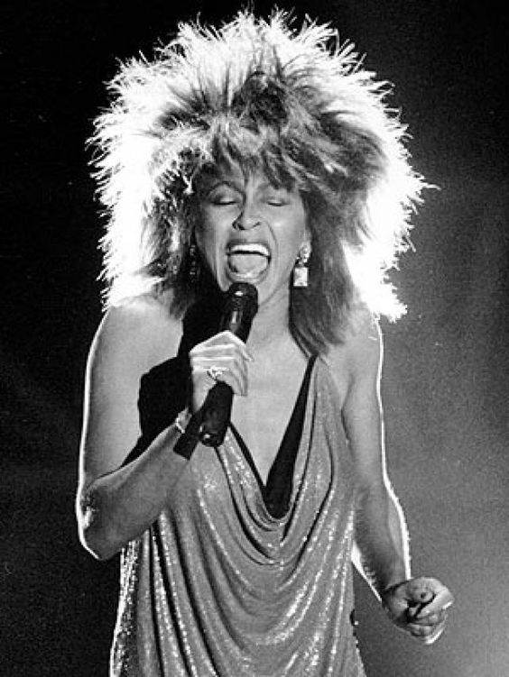 55 faixas de Tina Turner