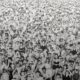 Listen Without Prejudice